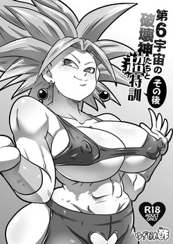 Dai 6 Uchuu no Hakaishin-tachi to Chou Tokkun Sonogo | Super Special Training with the Sixth Universe's Hakaishin and Company Aftermath