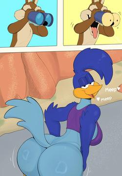 Road Runner &amp; Wile E. Coyote