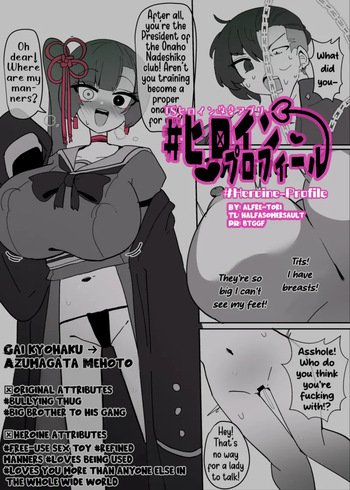 Heroine Profile 5 cover