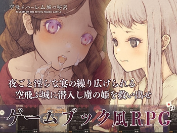 Soratobu Harem Jou no Himitsu cover