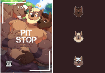 Pit Stop cover