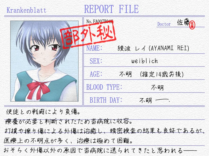 Nyuuin Kansha Ayanami Rei Iryou Karte page 10 full