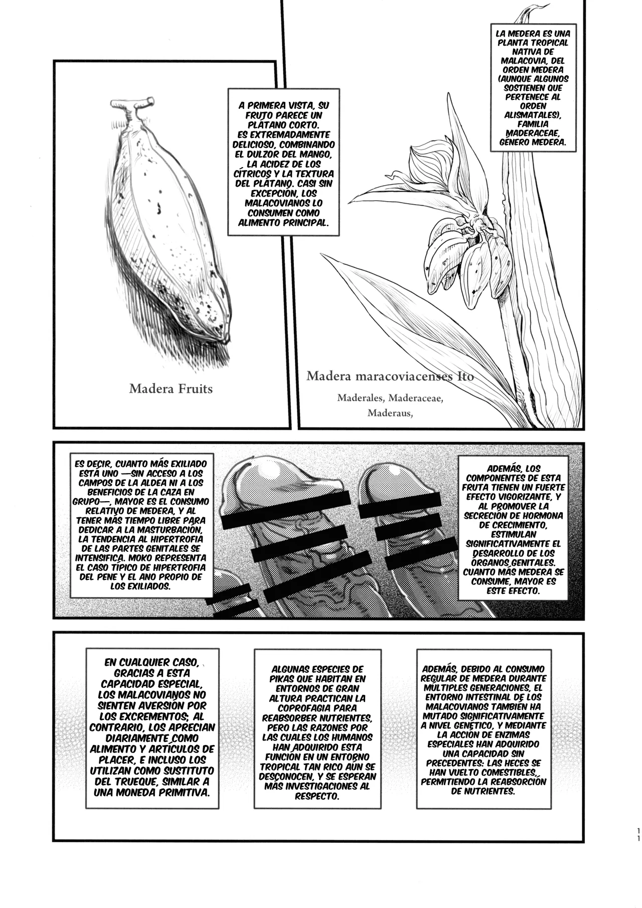 Dankon no Ethnography -Malakovia no Sei to Haisetsu- page 10 full