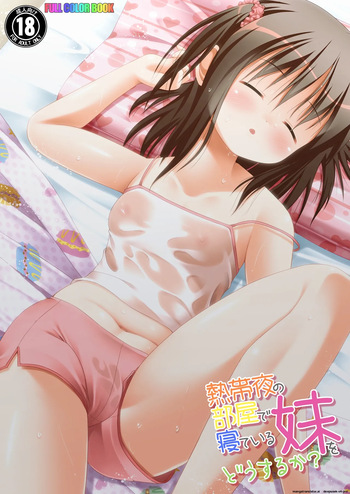 Nettaiya no Heya de Neteiru Imouto wo Dousuruka cover