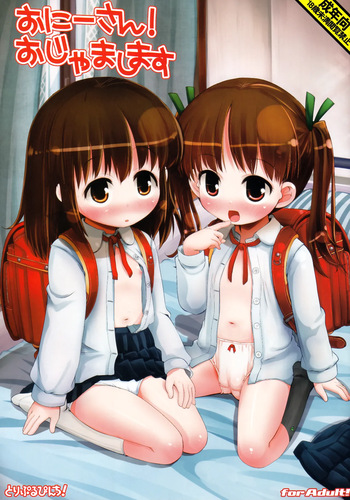 Onii-san! Ojamashimasu cover