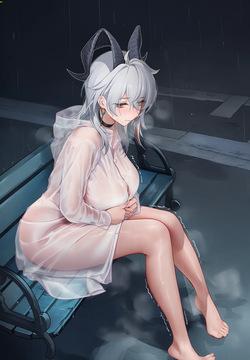 zani raincoat