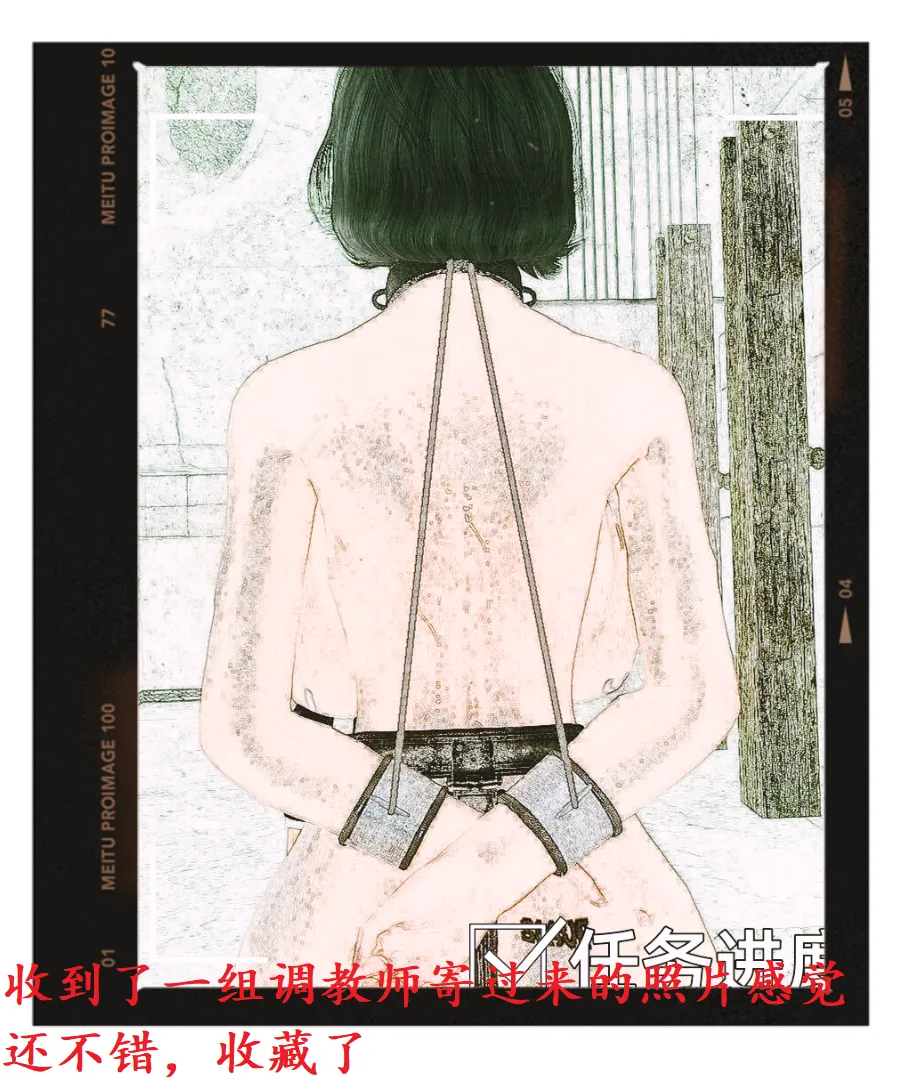 cartmanyang 贵妇的沉沦-老陈日记 2011 2012 2013 page 4 full