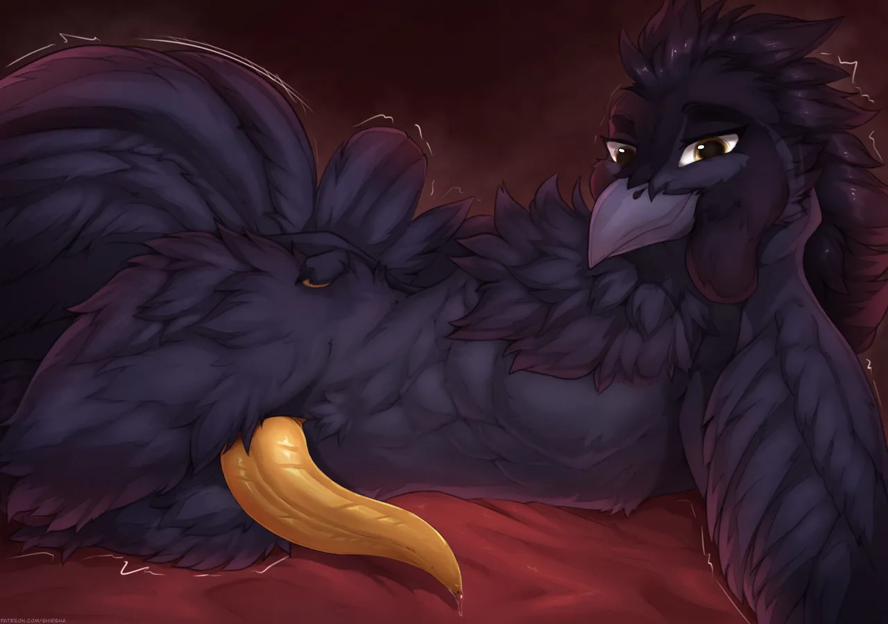 Shirsha page 8 full