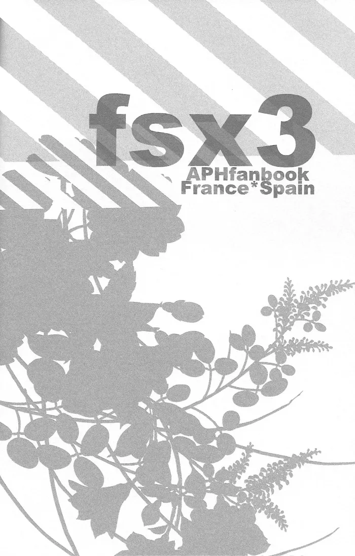 fsx3 page 2 full