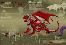 Thorphax