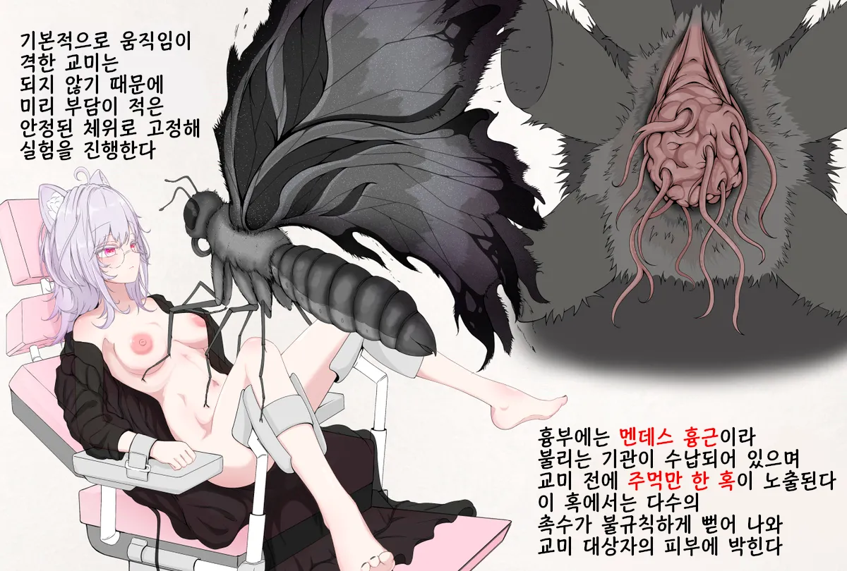 Mushi Research Report EX No.13 page 2 full