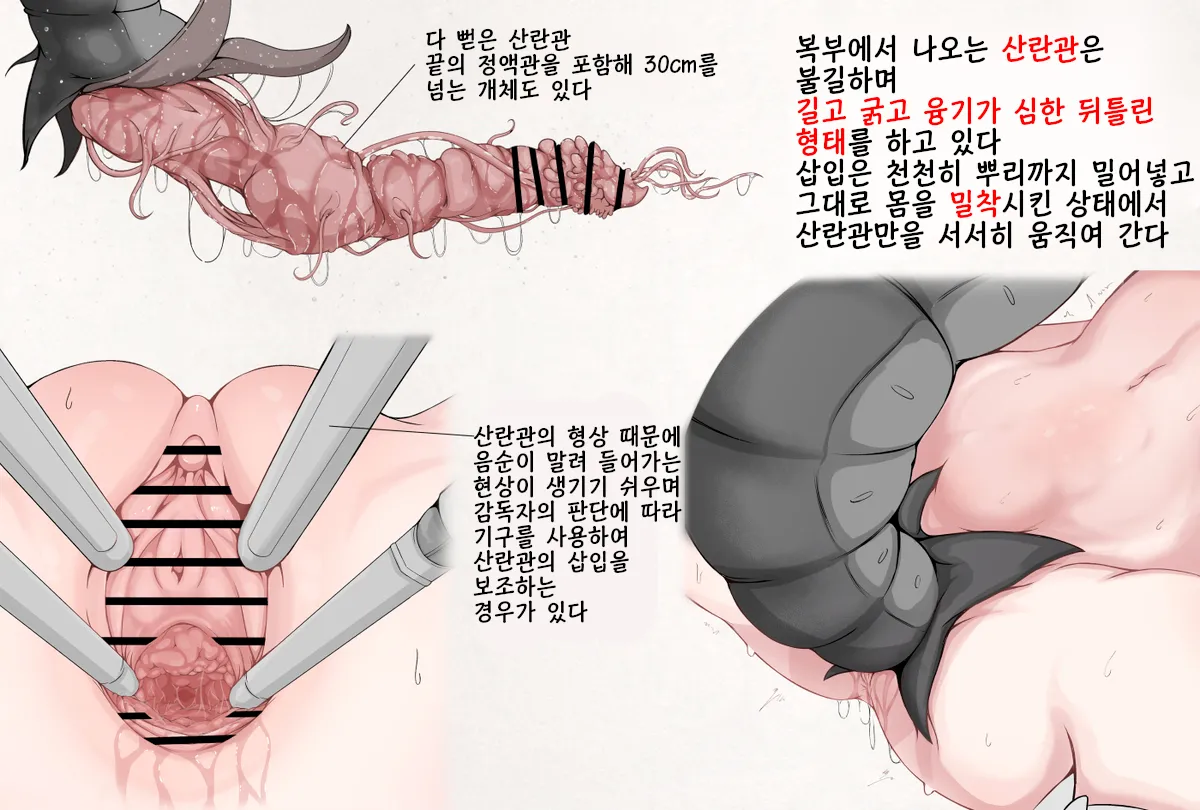 Mushi Research Report EX No.13 page 4 full