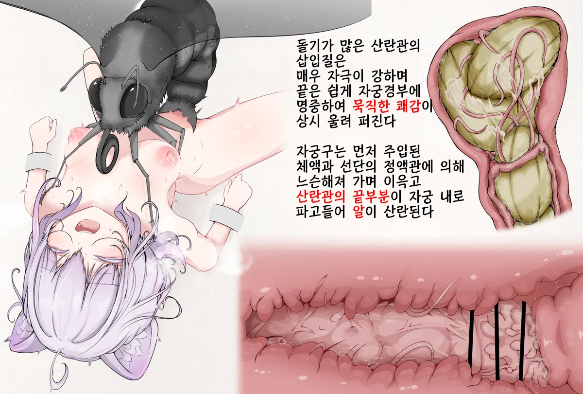 Mushi Research Report EX No.13 page 5 full