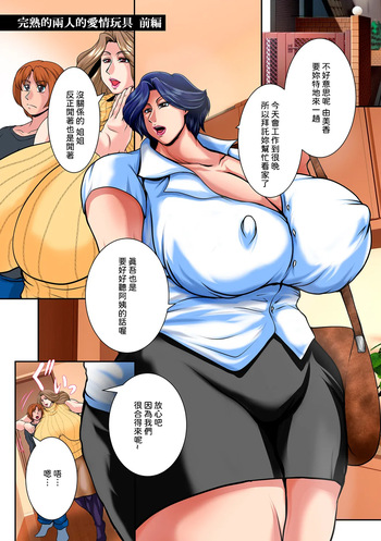 衡山私刑 cover
