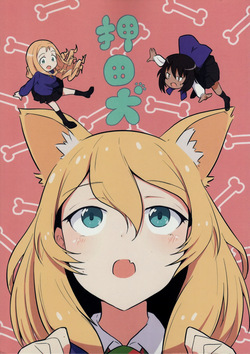 Oshida Inu | Oshida El Perro