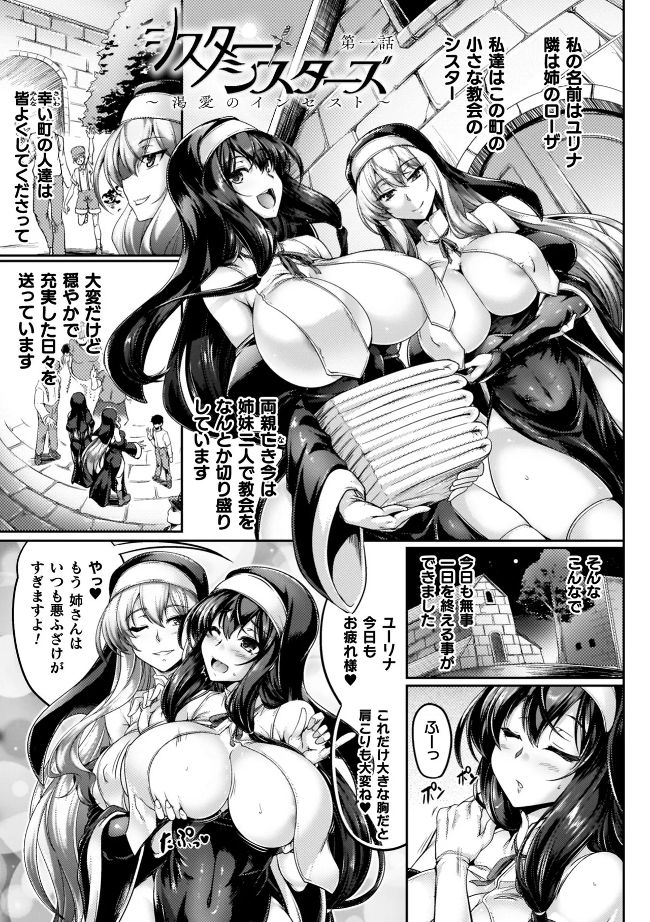 サキュバシスターズ ～聖職姉妹の背徳～ page 5 full