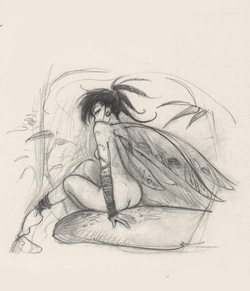 Dessins érotiques