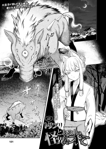 Toaru Yama no Kaii ni Tsuite | The Supernatural Anomaly of a Certain Mountain cover