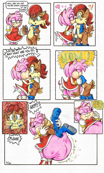 Amy's Solution cover