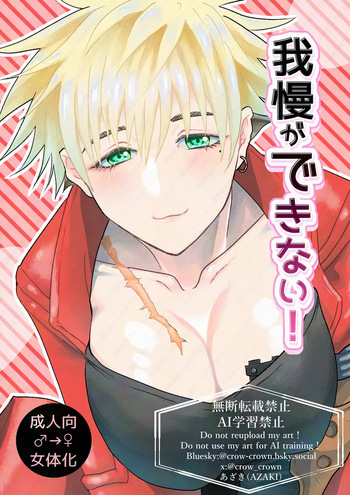 gaman ga dekinai! cover
