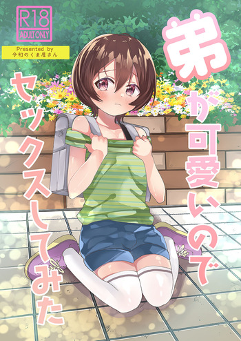 Ototo ga kawaiinode sekkusu shite mita cover