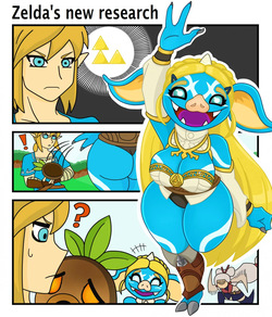 Zelda's New Research