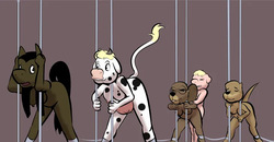 Farm Factory Breeding