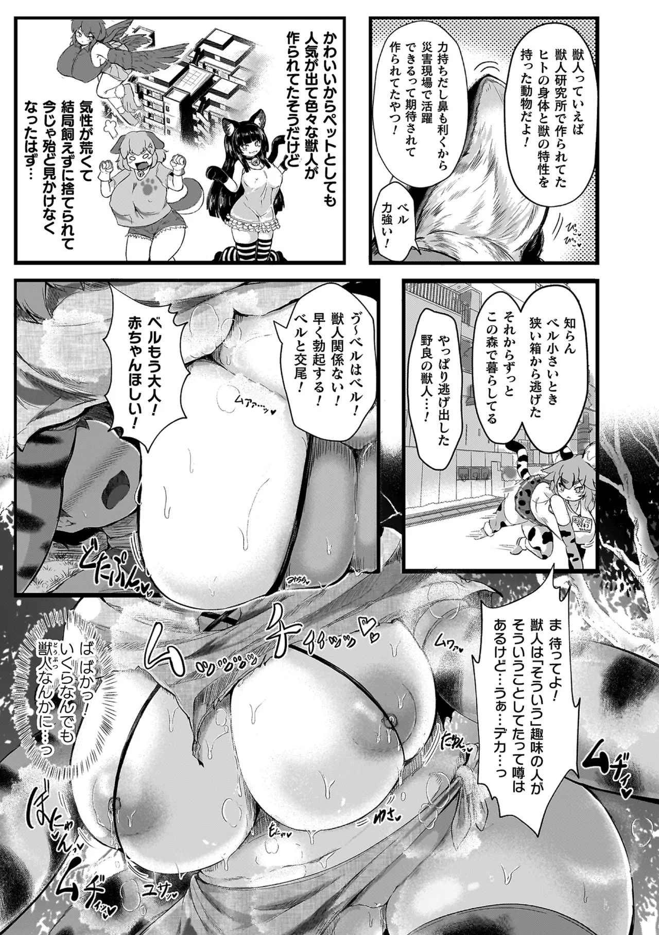 僕だけのあまあまむっちりな獣人お姉ちゃんっ！ page 7 full