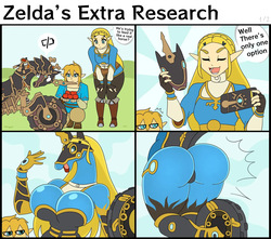 Zelda's Extra Research
