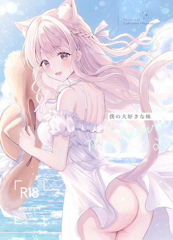 僕の大好きな妹 cover