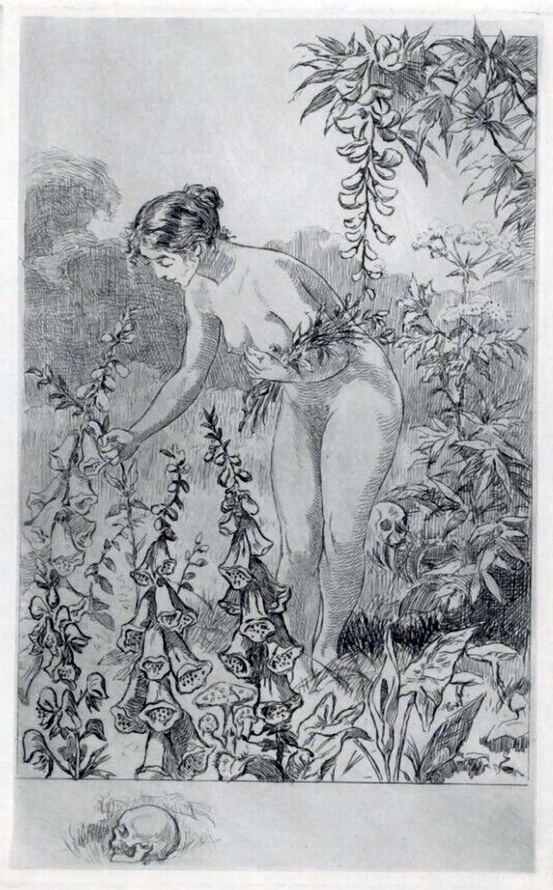 Martin van Maële - Les fleurs du mal / Les flèches de plomb / La légende des sexes page 5 full