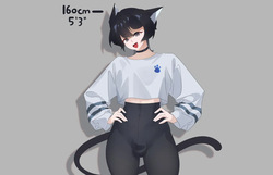 Ash_catt Images