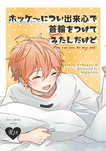ホッケ〜につい出来心で首輪をつけてみたんだけど cover