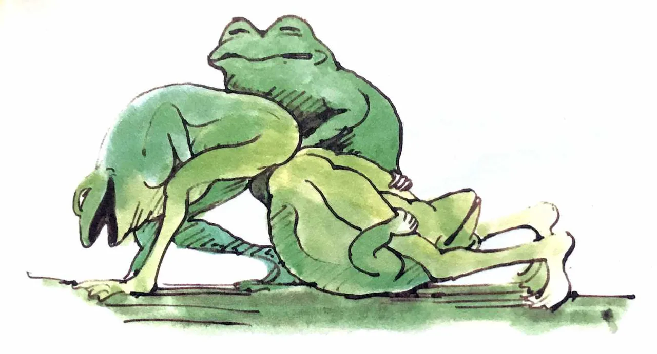 Tomi Ungerer - The Joy of Frogs page 5 full