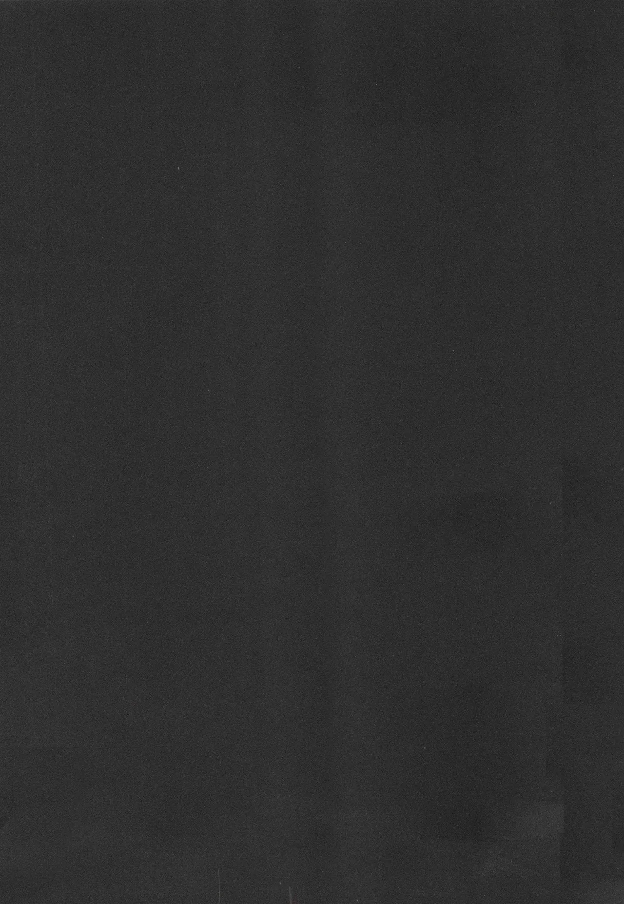Ninomiya Ryouzo - Junketsu Maniac Seijo CXX ESP page 4 full