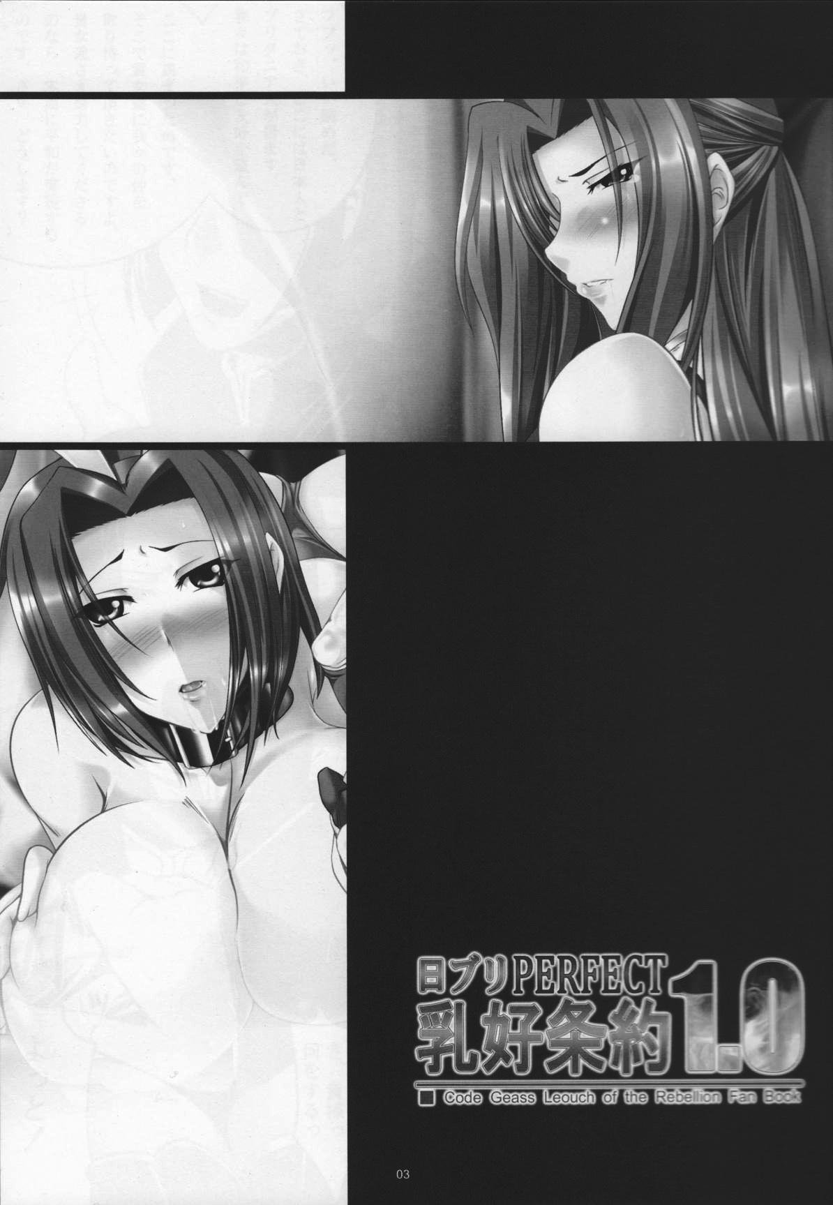 Code Geass Lelouch Of The Rebellion - NichiBri PERFECT Nyuukou Jouyaku 1.0 page 2 full