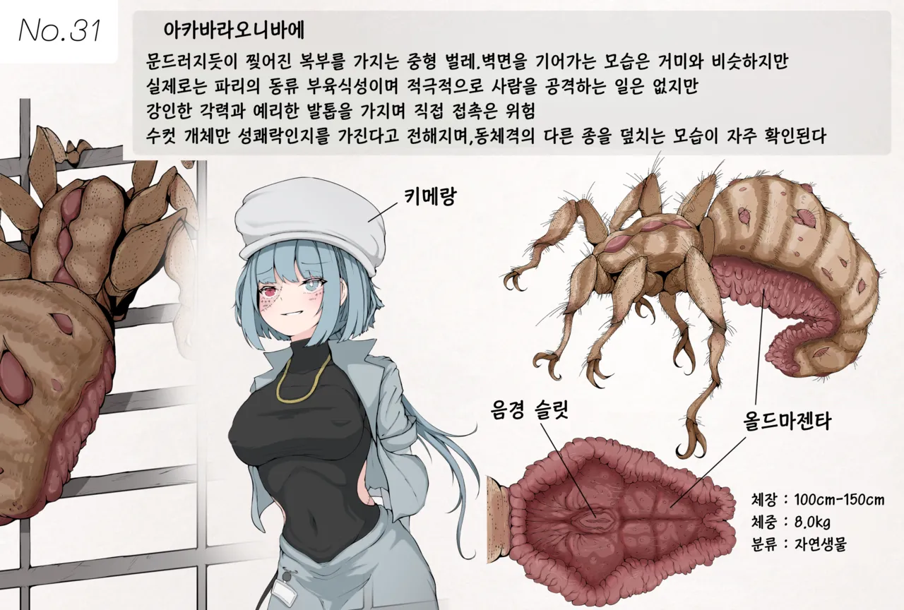 Insect Research Report No.31 page 1 full