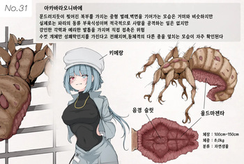 Insect Research Report No.31 cover