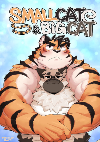 Small Cat &amp; Big Cat cover