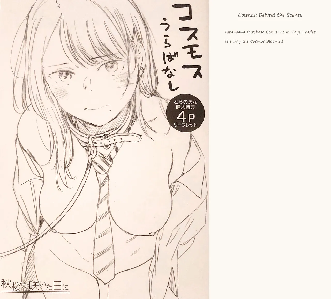 Kosmos ga Saita Hi ni Toranoana Tokuten 4P Leaflet page 1 full