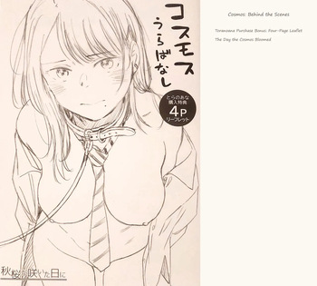 Kosmos ga Saita Hi ni Toranoana Tokuten 4P Leaflet cover