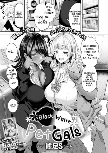 Kuroshiro Petto Gyaru | Black and White Pet Gals cover