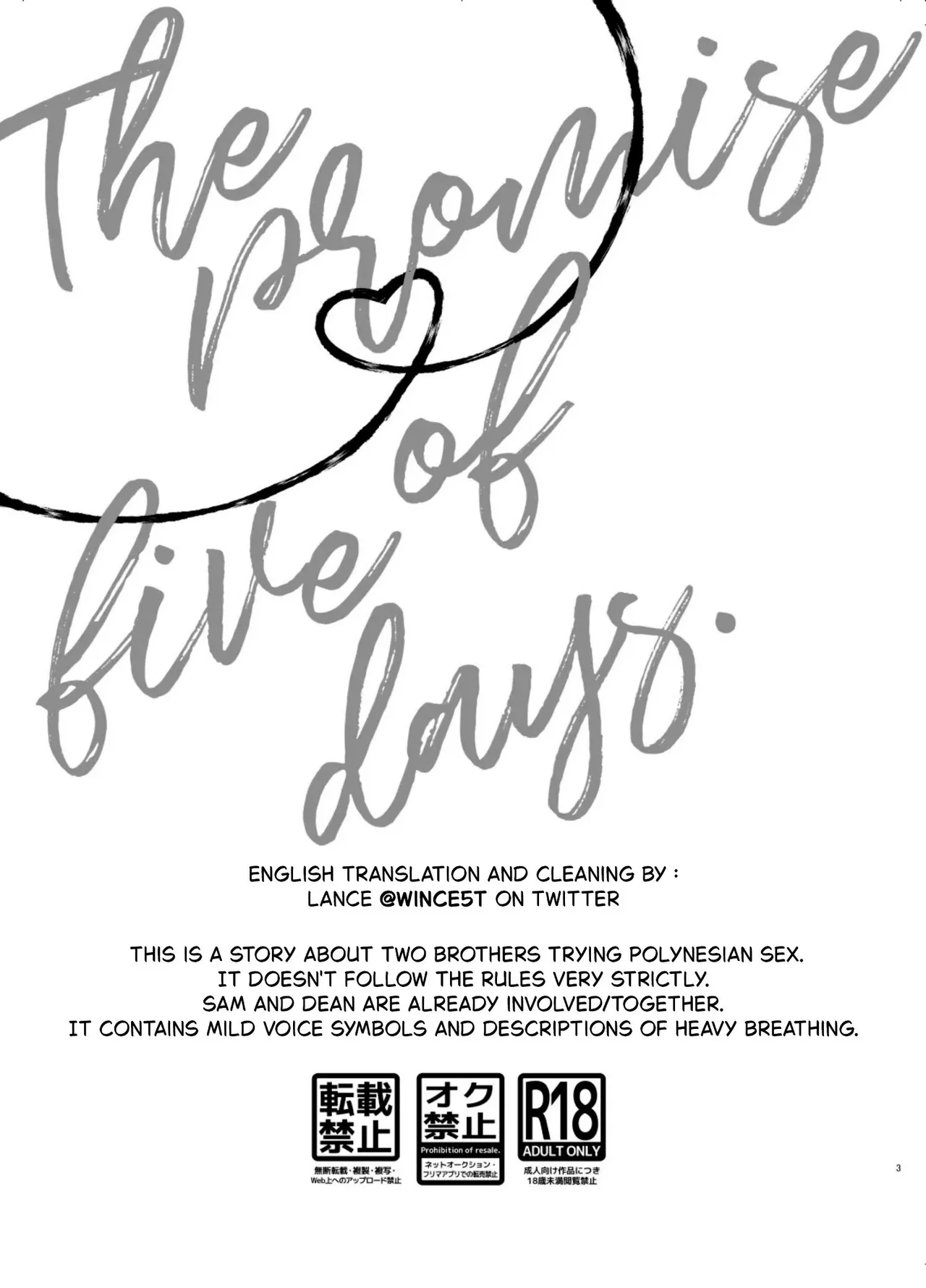 The 5-Day Promise page 2 full