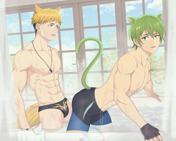030 - Bathtub cover
