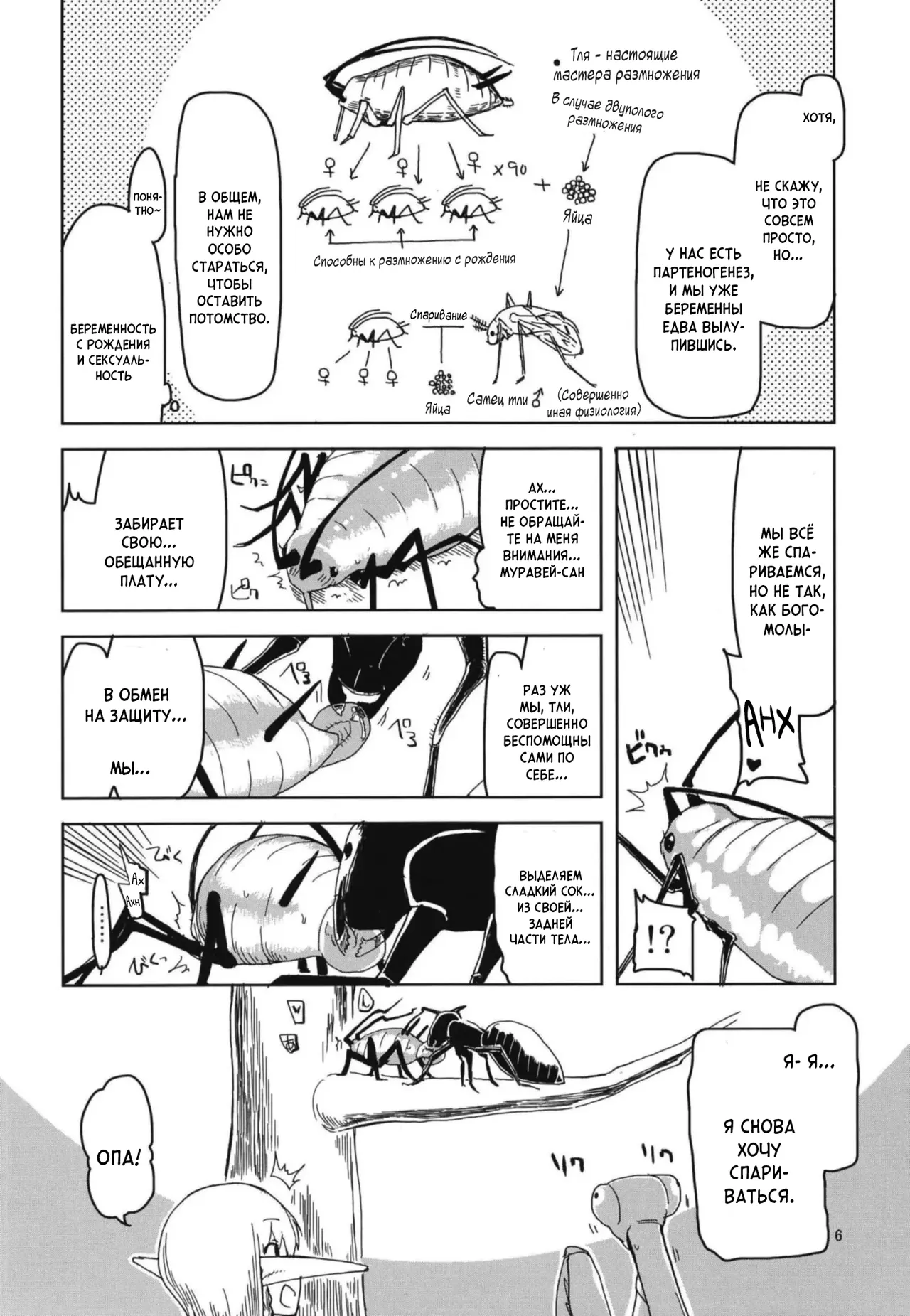 Dosukebe Elf no Ishukan Nikki 5 | Записки похотливой эльфийки о межрасовом сексе 5 page 8 full