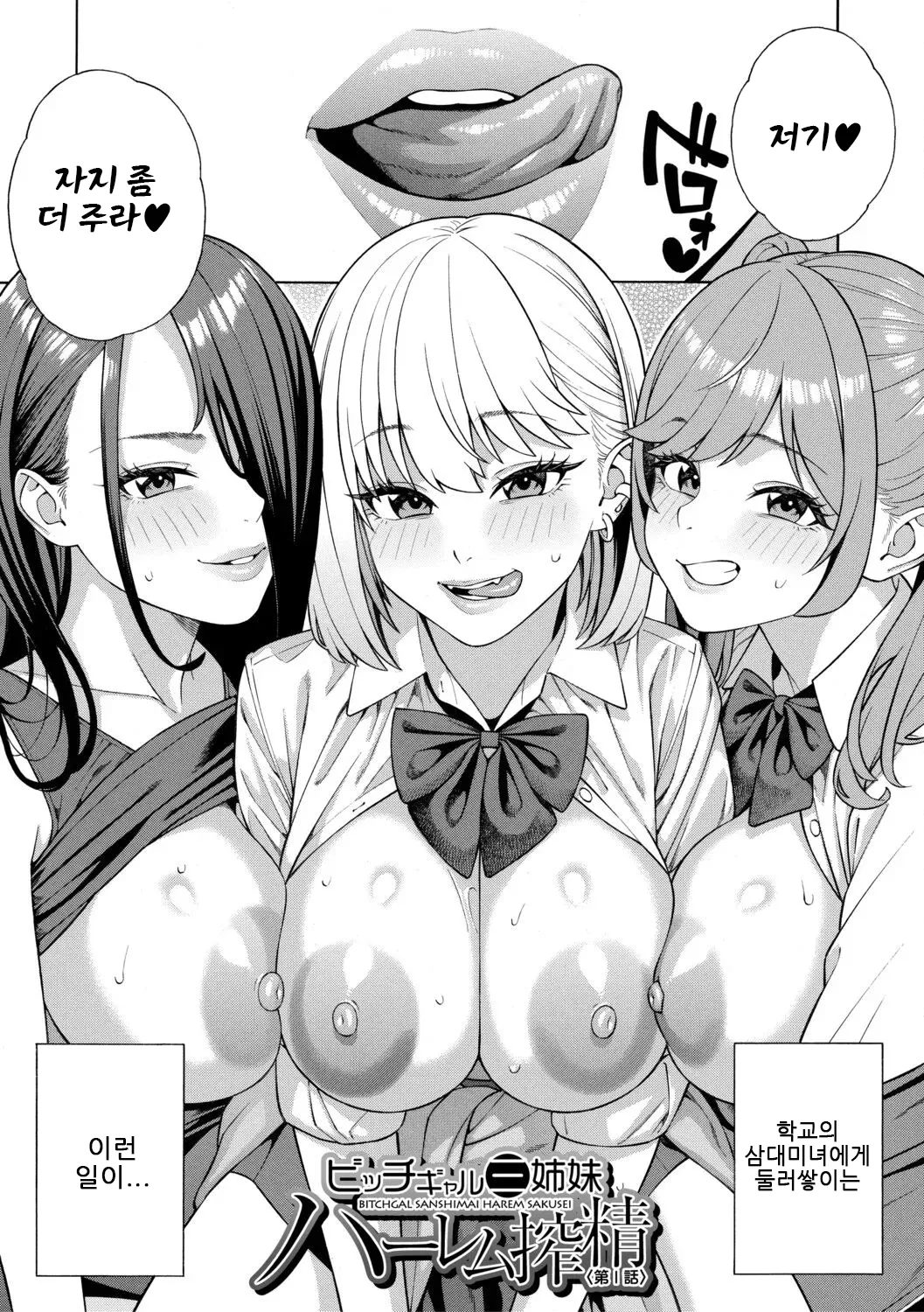 Seiyoku Monster Sanshimai Bitch na Harem Sakusei｜성욕 몬스터 세자매 빗치들의 하렘 착정 page 5 full