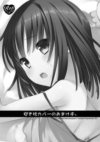 Dakimakura Cover no Omake Hon cover
