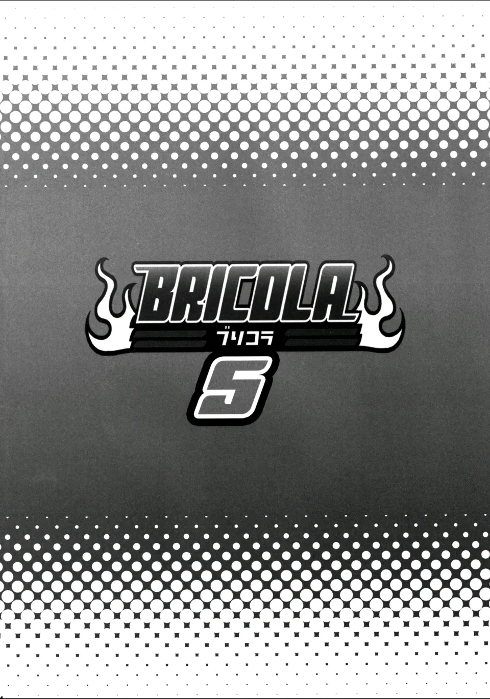 BRICOLA 5 page 2 full