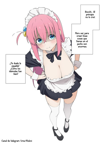 Solo las tetotas de Bochi cover