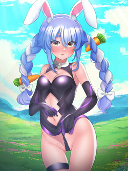 間違ってレイシフトしちゃったぺこーら